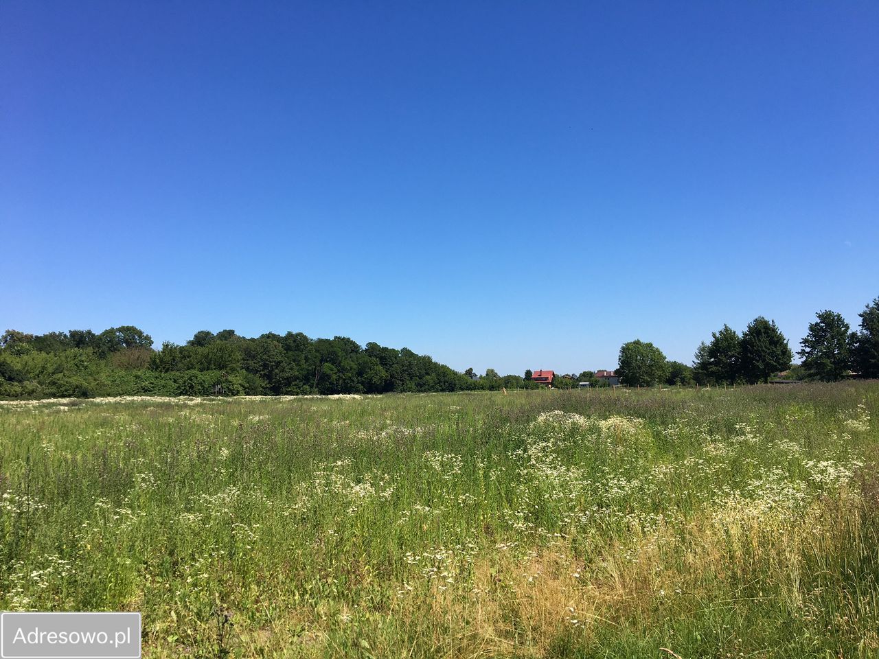 Działka budowlana Święcice