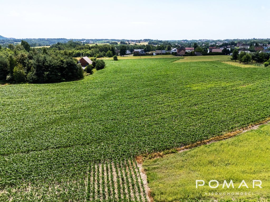 Działka budowlana Łuków Śląski, ul. Wolności. Zdjęcie 5