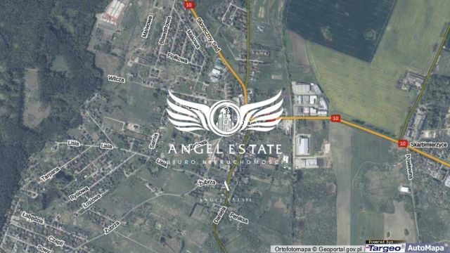 Działka inwestycyjna Dołuje. Zdjęcie 3