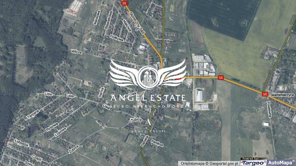 Działka inwestycyjna Dołuje. Zdjęcie 3