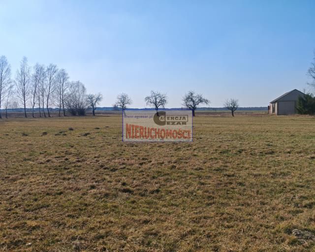 Działka budowlana Chlewiska. Zdjęcie 5