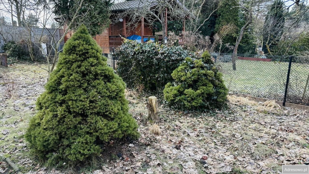 Działka rod Poznań Wilda, ul. Wspólna. Zdjęcie 2