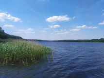 Działka rod Wierzchowo. Zdjęcie 4