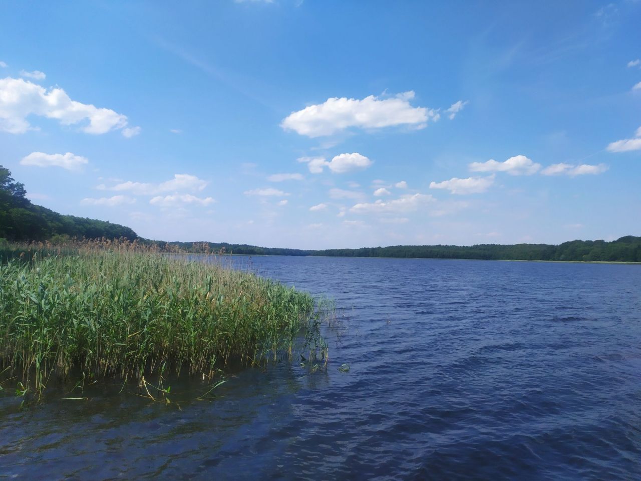 Działka rod Wierzchowo. Zdjęcie 5