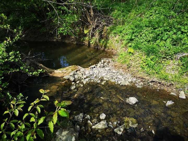 Działka rolna Chyrowa. Zdjęcie 7