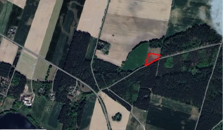 Działka siedliskowa Zajączkowo