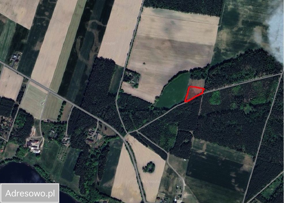 Działka siedliskowa Zajączkowo