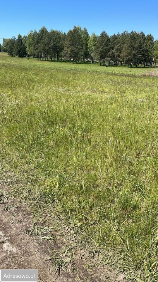 Działka budowlana Łączno. Zdjęcie 6