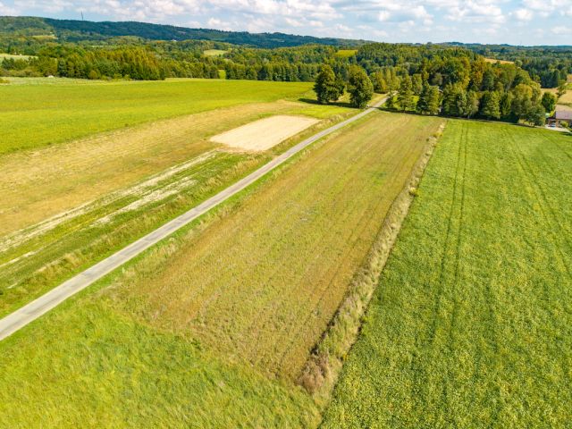 Działka budowlana Korczyna, ul. Wierzbowa. Zdjęcie 8