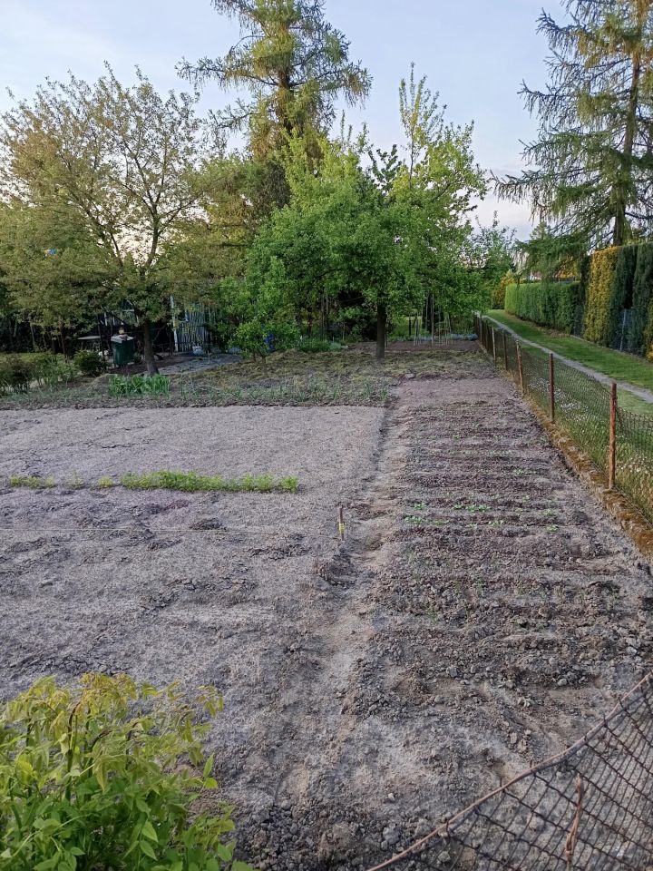 Działka rekreacyjna Nowe Skalmierzyce, Działkowa. Zdjęcie 2