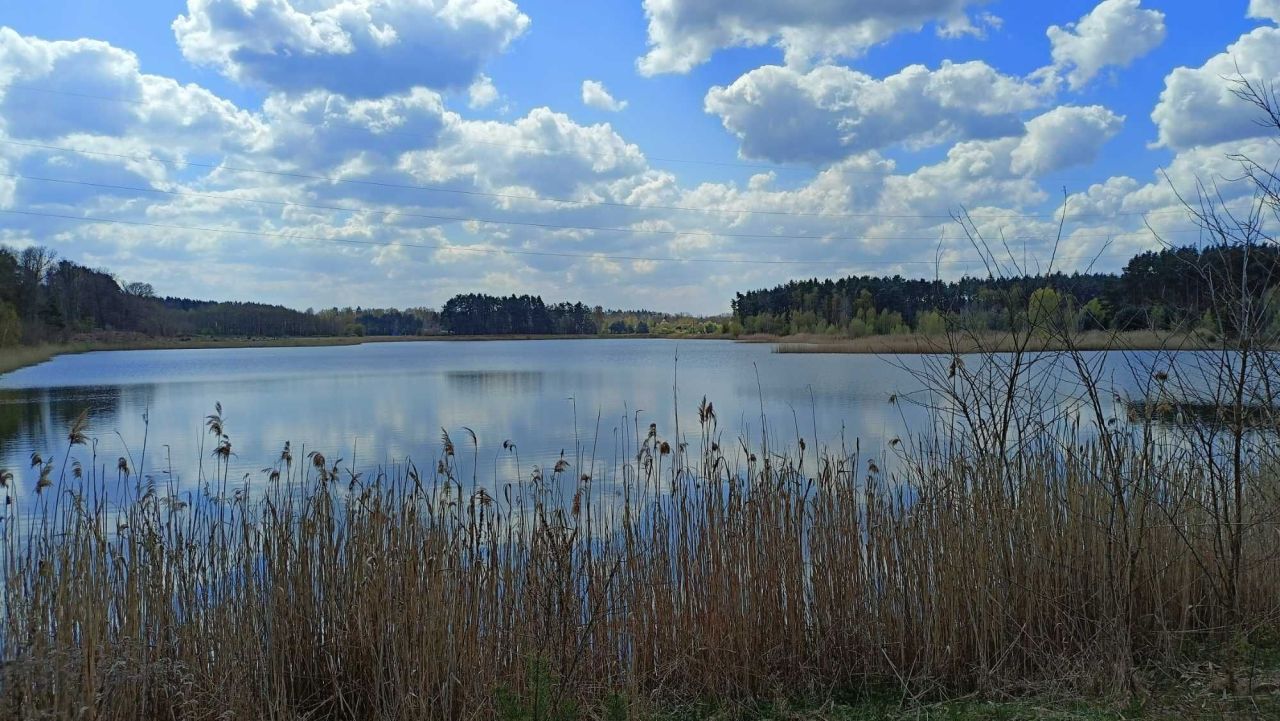 Działka rolna Tarnawa Krośnieńska. Zdjęcie 3