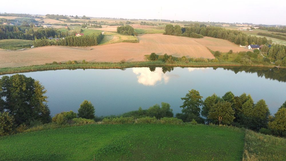 Działka rolno-budowlana Żałe. Zdjęcie 5