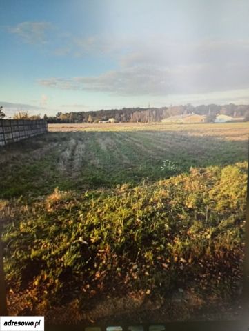 Działka budowlana Radziwiłłów. Zdjęcie 1