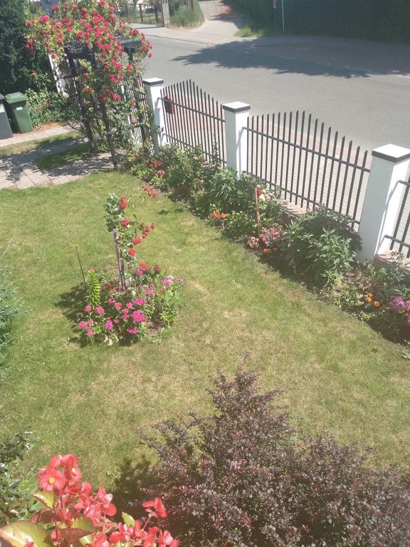 dom wolnostojący Stegna, ul. Lipowa. Zdjęcie 5