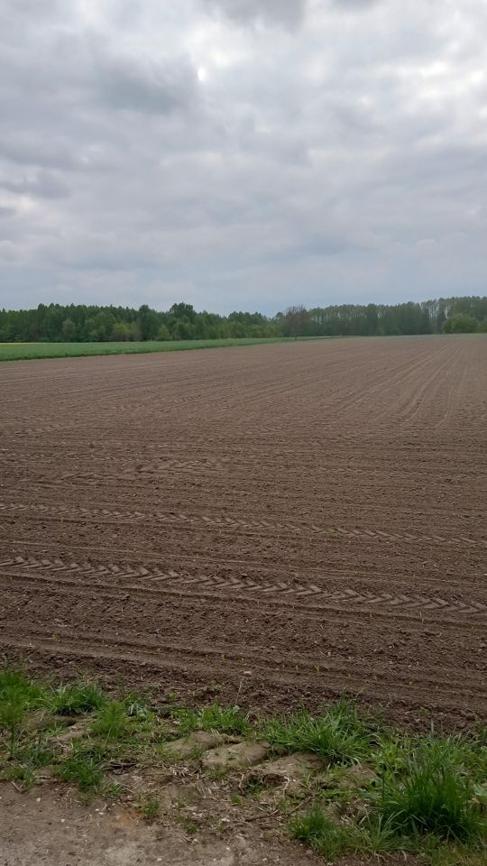 Działka rolna Lipicze, ul. Warszawska. Zdjęcie 7