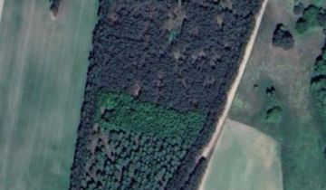 Działka leśna Pyszkowo