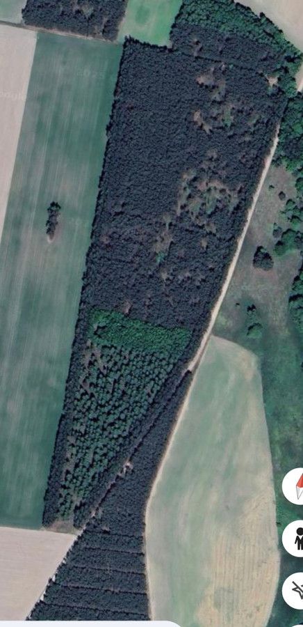 Działka leśna Pyszkowo. Zdjęcie 2