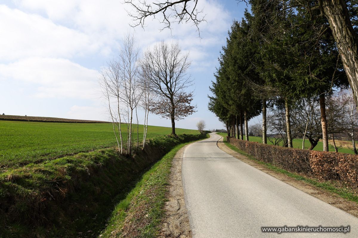 Działka budowlana Zwiernik. Zdjęcie 10