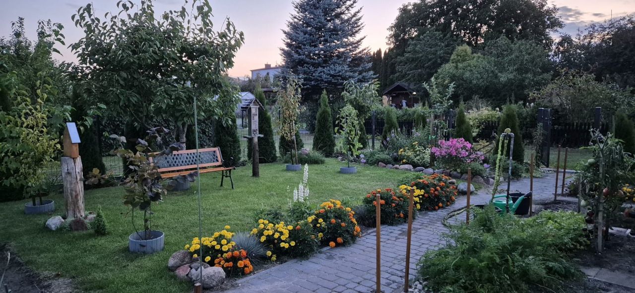 Działka rod Szczytno. Zdjęcie 2