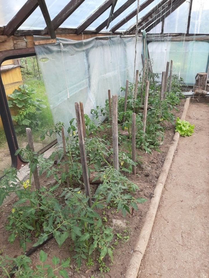 Działka rod Białystok Jaroszówka. Zdjęcie 5