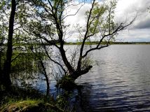 Działka budowlana Pasym, ul. Ostrów. Zdjęcie 1