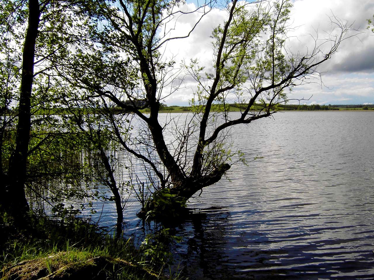 Działka budowlana Pasym, ul. Ostrów. Zdjęcie 2