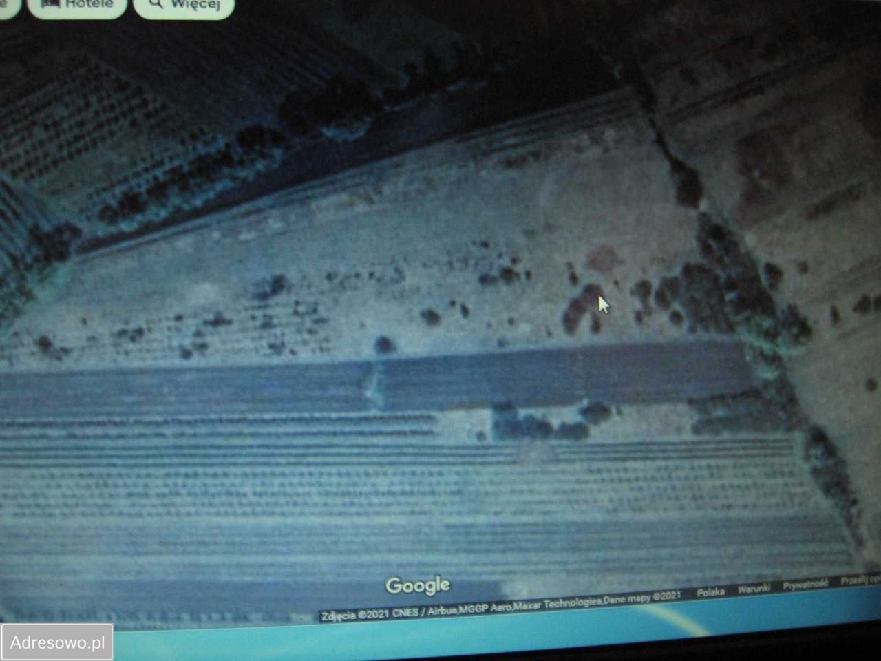 Działka rolna Wrzelów. Zdjęcie 4