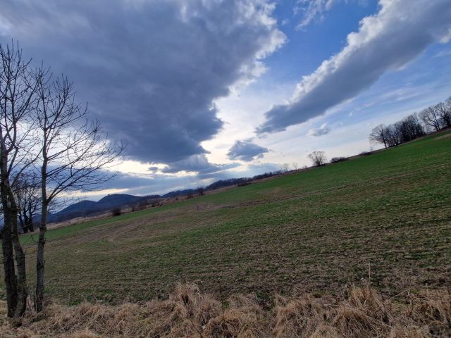 Działka rolna Radomierz. Zdjęcie 1