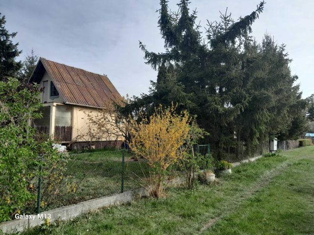 Działka rod Płock, ul. Jaworowa. Zdjęcie 1