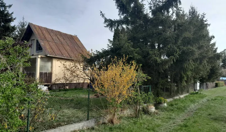 Działka rod Płock, ul. Jaworowa