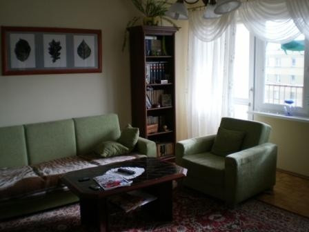 Mieszkanie 3-pokojowe Wieluń Stare Sady. Zdjęcie 1