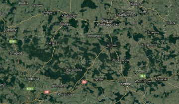 Mieszkanie 3-pokojowe Sośnie