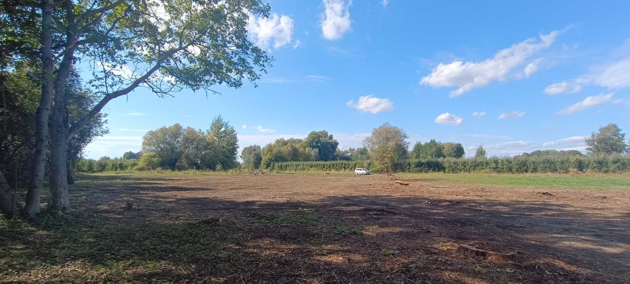 Działka rolna Przewóz Tarnowski. Zdjęcie 8