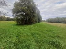 Działka rolna Słupia. Zdjęcie 3