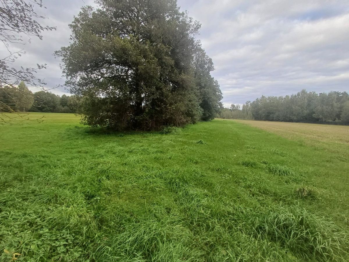 Działka rolna Słupia. Zdjęcie 4