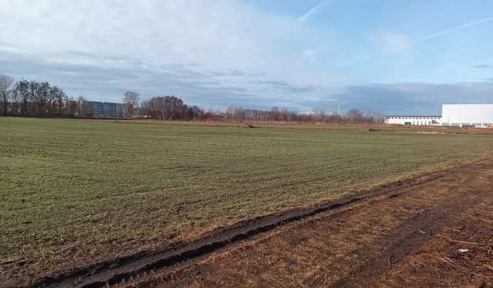 Działka inwestycyjna Głogów, ul. Henryka Głogowskiego