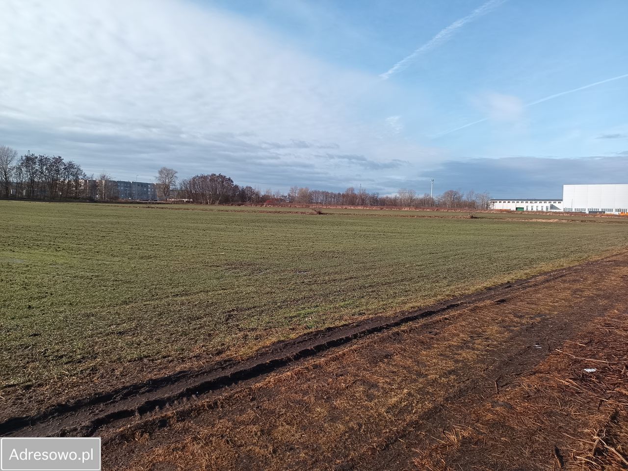 Działka inwestycyjna Głogów, ul. Henryka Głogowskiego. Zdjęcie 1