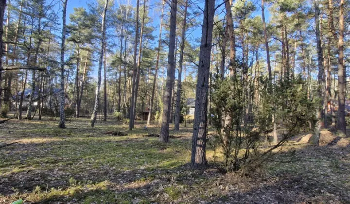 Działka rekreacyjna Osiedle Wilga