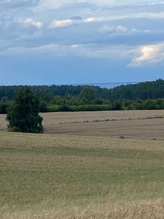 Mieszkanie 2-pokojowe Dębogórze, ul. Sezamkowa. Zdjęcie 3