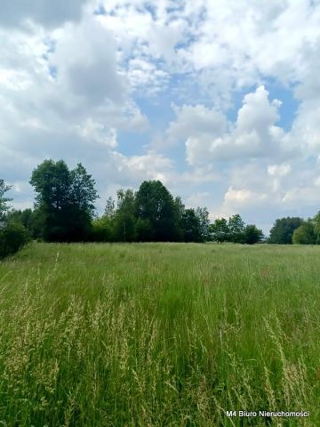 Działka Świerzowa Polska. Zdjęcie 6