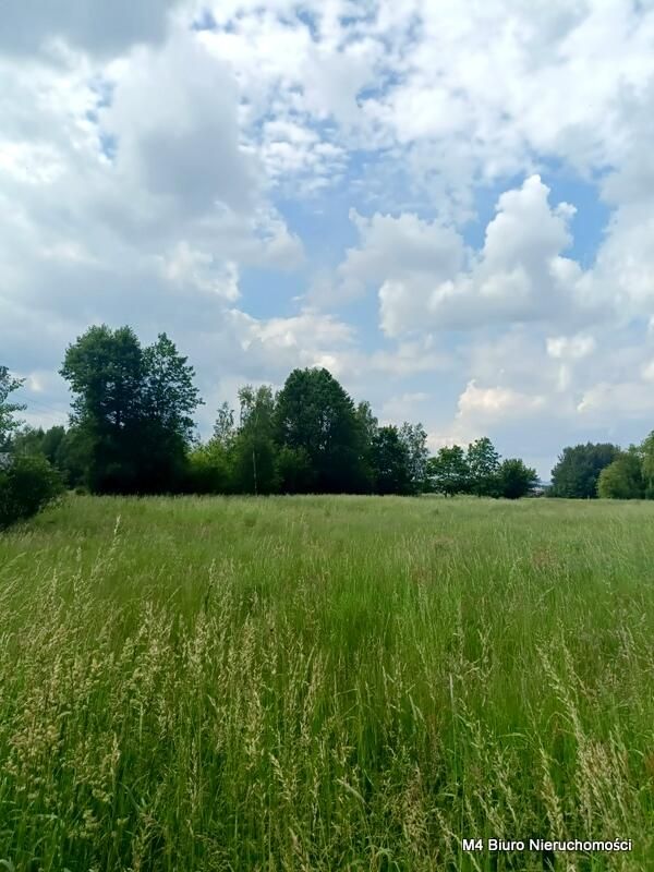 Działka Świerzowa Polska. Zdjęcie 6