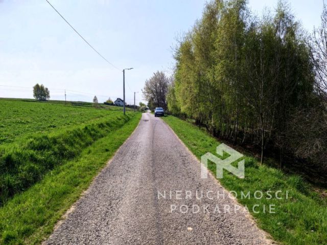 Działka rolna Lubenia. Zdjęcie 5