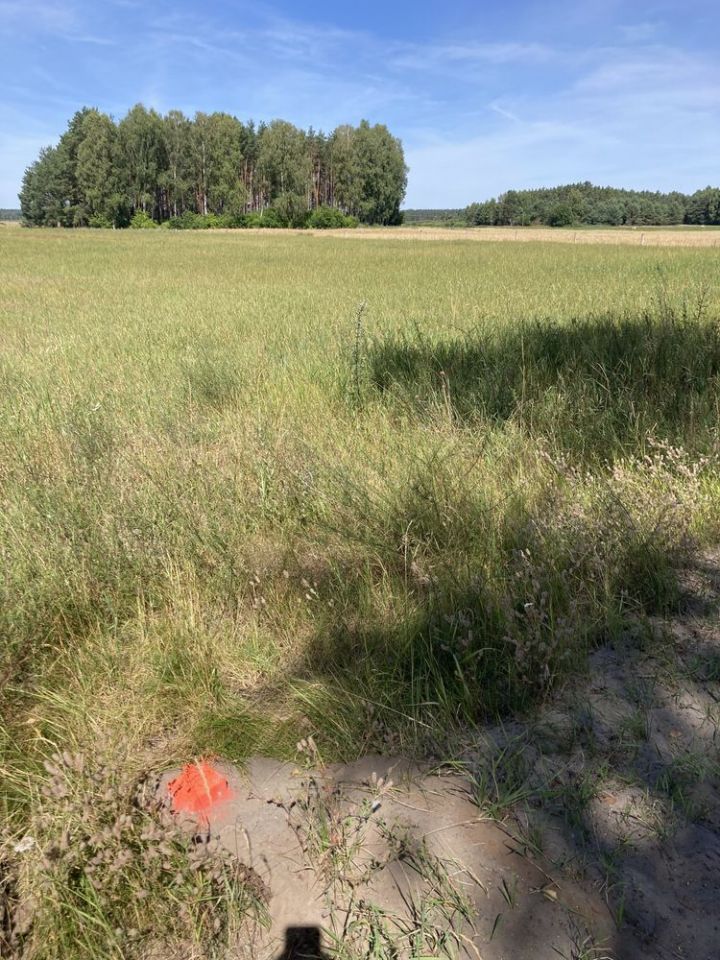Działka rolno-budowlana Mątasek. Zdjęcie 4