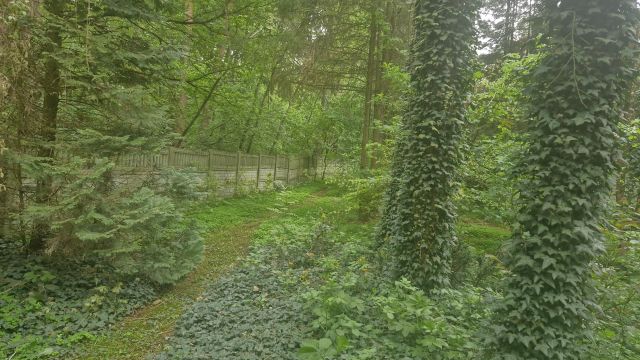 dom wolnostojący, 2 pokoje Stare Koluszki. Zdjęcie 9