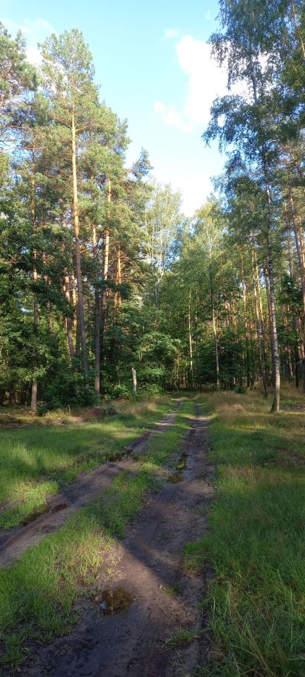 Działka rolna Kuskowizna. Zdjęcie 5