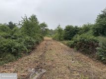 Działka rolno-budowlana Rogowice. Zdjęcie 4