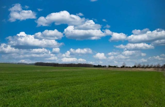 Działka budowlana Zaleszczyce. Zdjęcie 1
