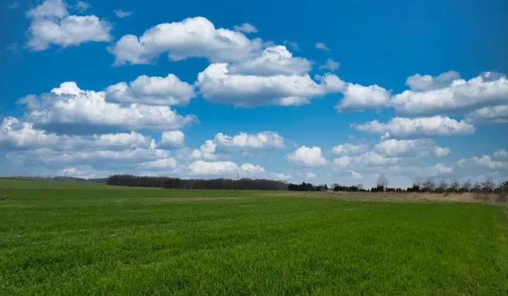 Działka budowlana Zaleszczyce