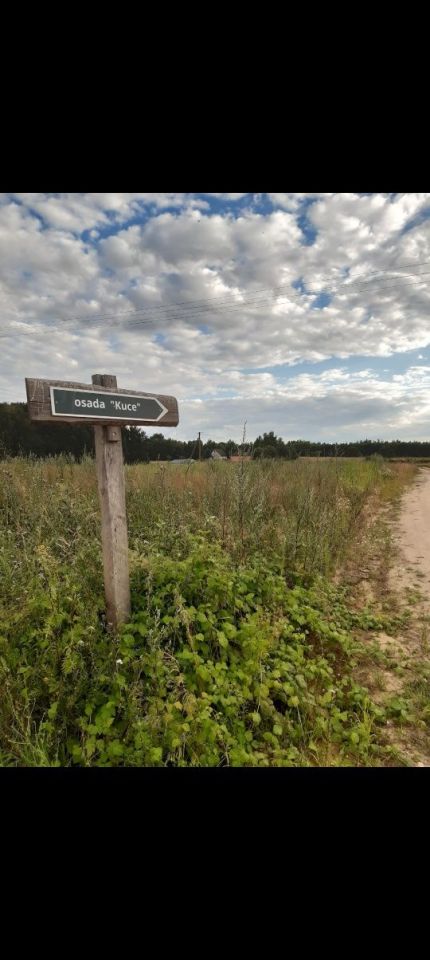 Działka rolno-budowlana Strzegocin. Zdjęcie 2