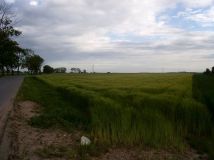 Działka rolno-budowlana Strzelno, ul. Kasztanowa. Zdjęcie 4